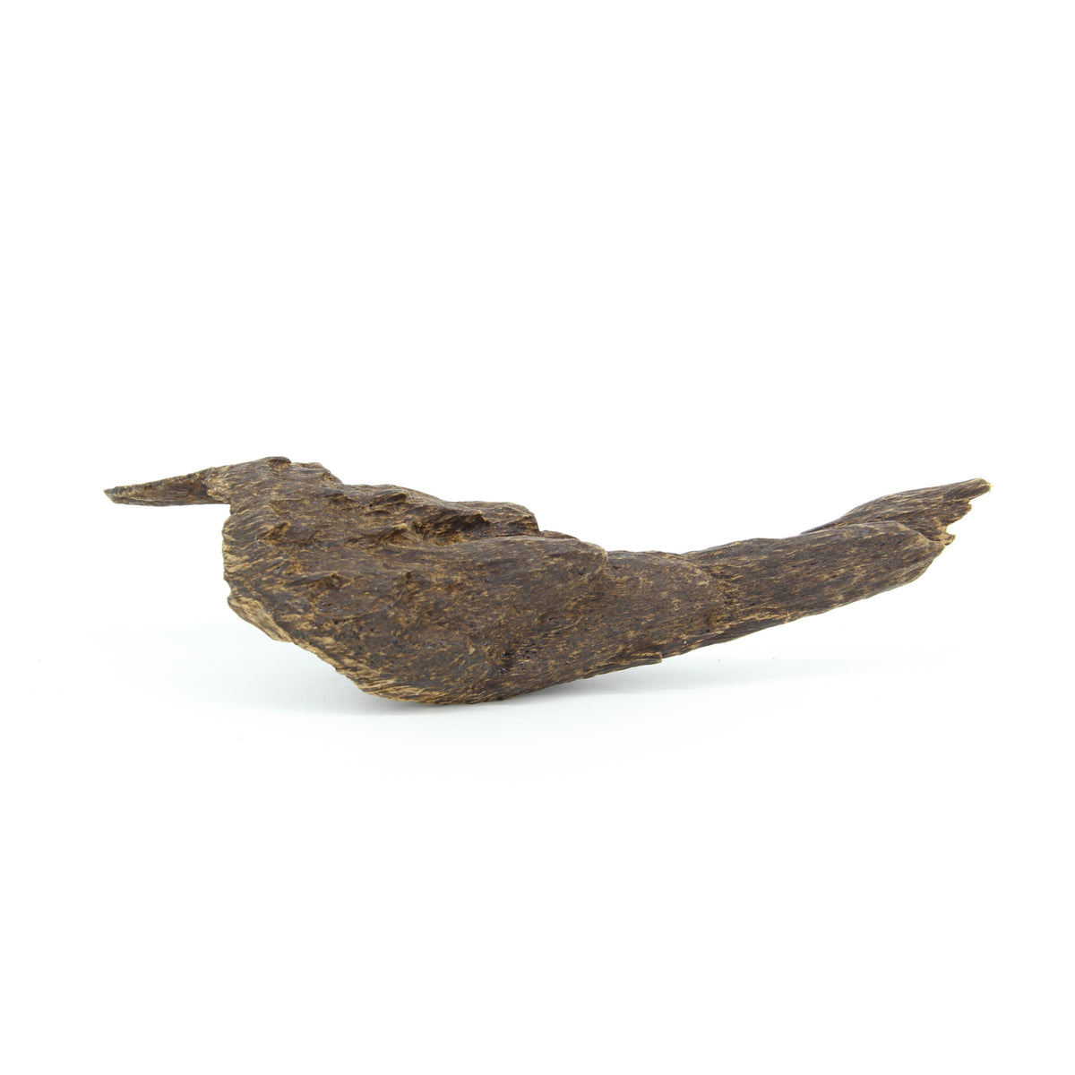 Agarwood Natural Sculpture (Sinking) - Borneo