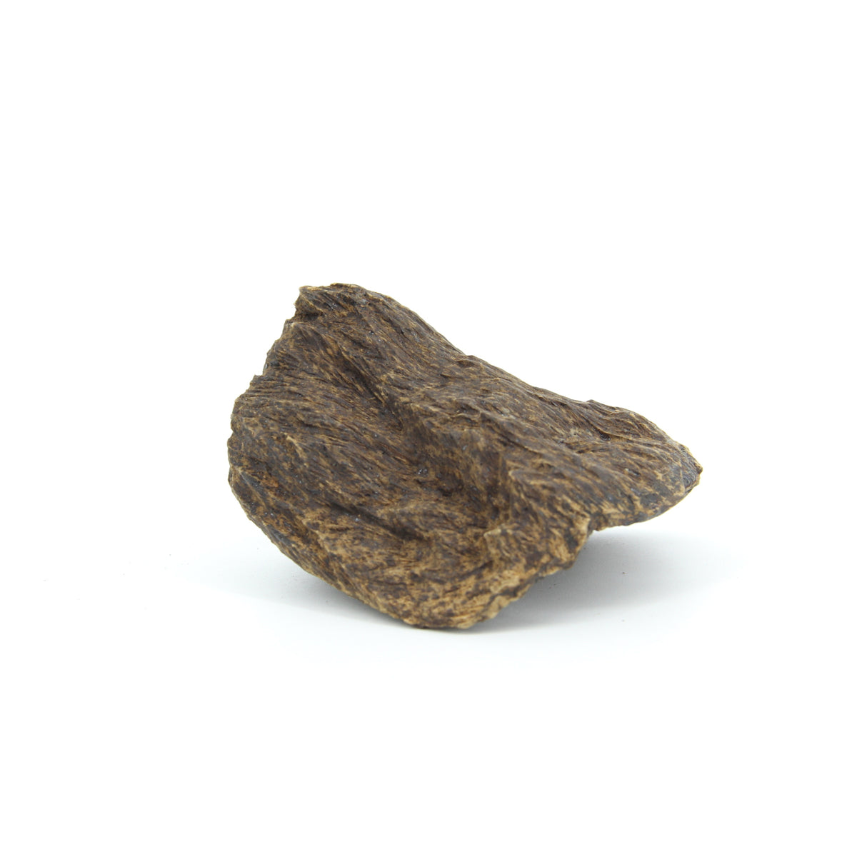 Agarwood Natural Sculpture (Sinking) - Borneo