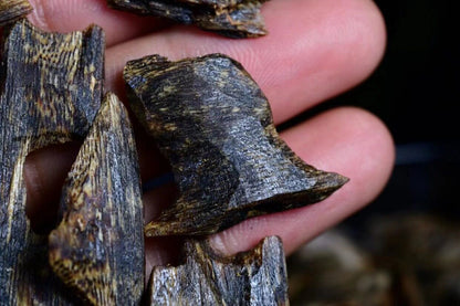 Alnoor Reserve High-Resin Kynam Oud