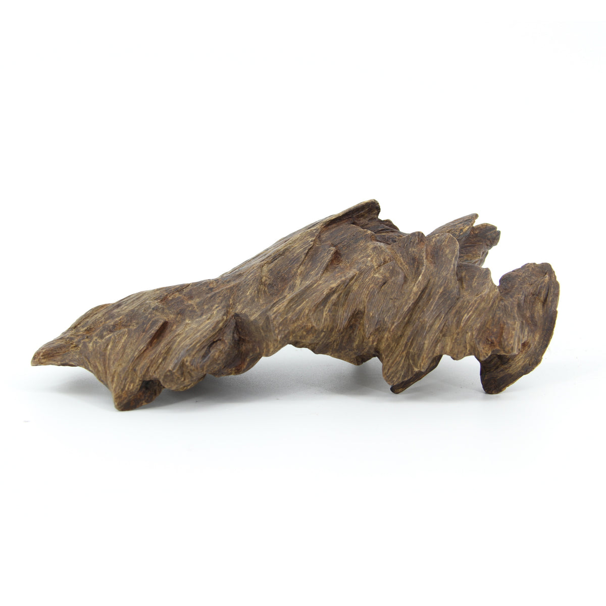 Agarwood Natural Sculpture (Sinking) - Borneo [SS1]