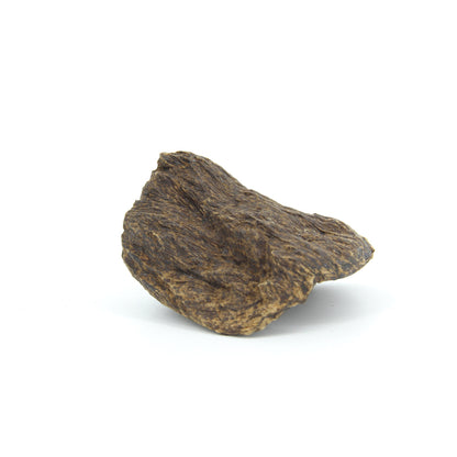 Agarwood Natural Sculpture (Sinking) - Borneo