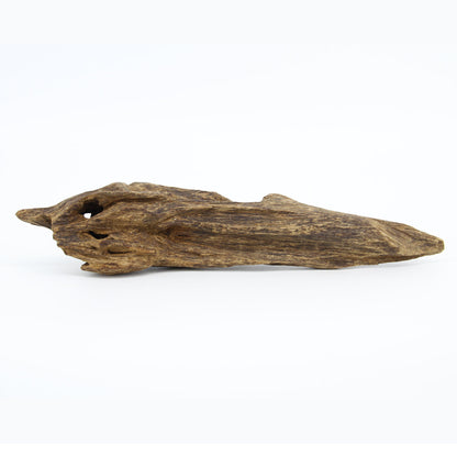 Agarwood Natural Sculpture (Sinking) - Borneo