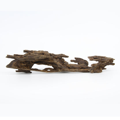 Agarwood Natural Sculpture (Sinking) - Borneo [SS6]
