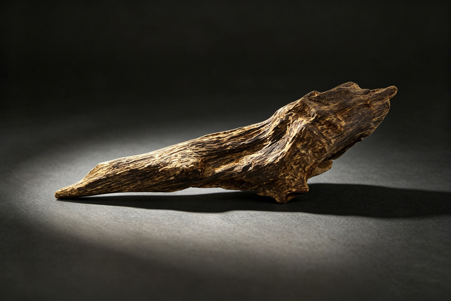 Agarwood Natural Sculpture (Sinking) - Borneo
