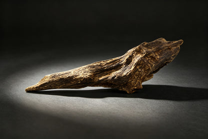 Agarwood Natural Sculpture (Sinking) - Borneo