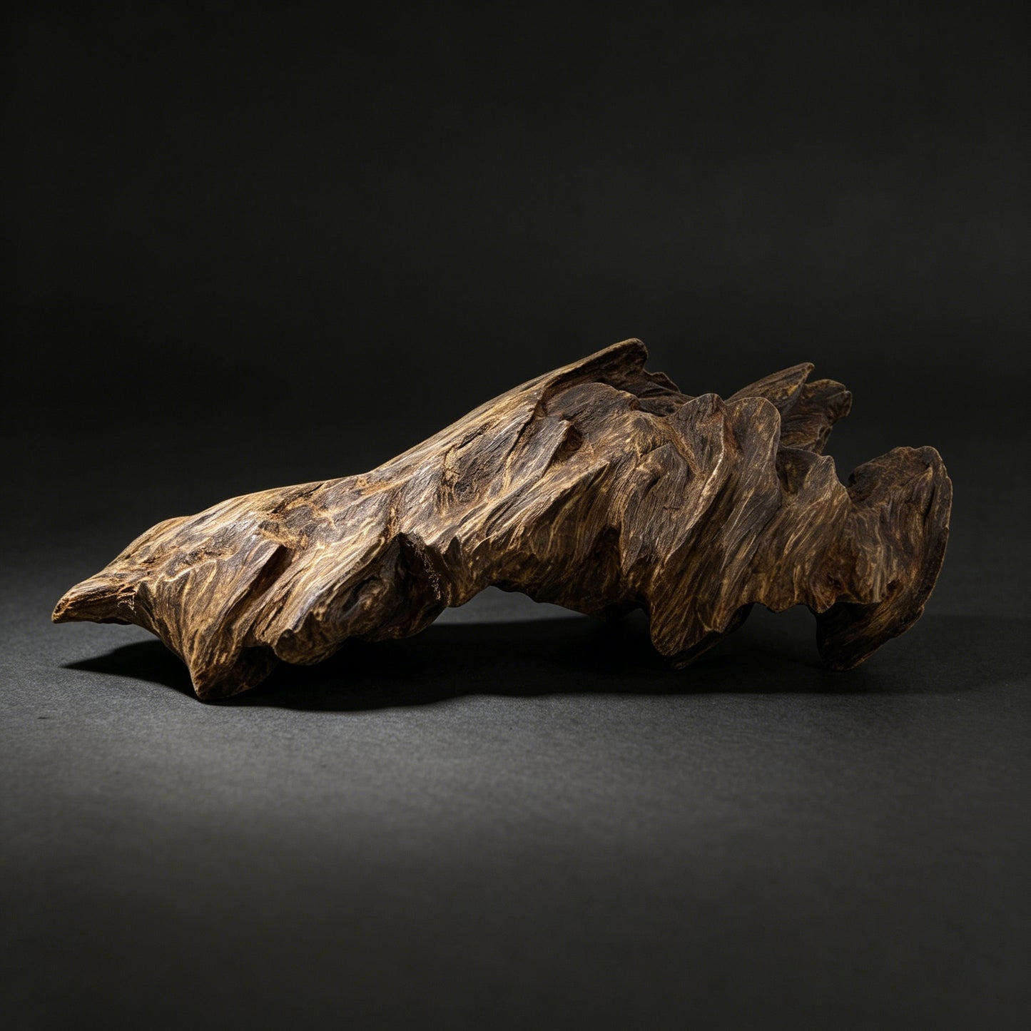 Agarwood Natural Sculpture (Sinking) - Borneo [SS1]