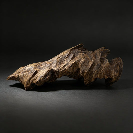 Agarwood Natural Sculpture (Sinking) - Borneo [SS1]