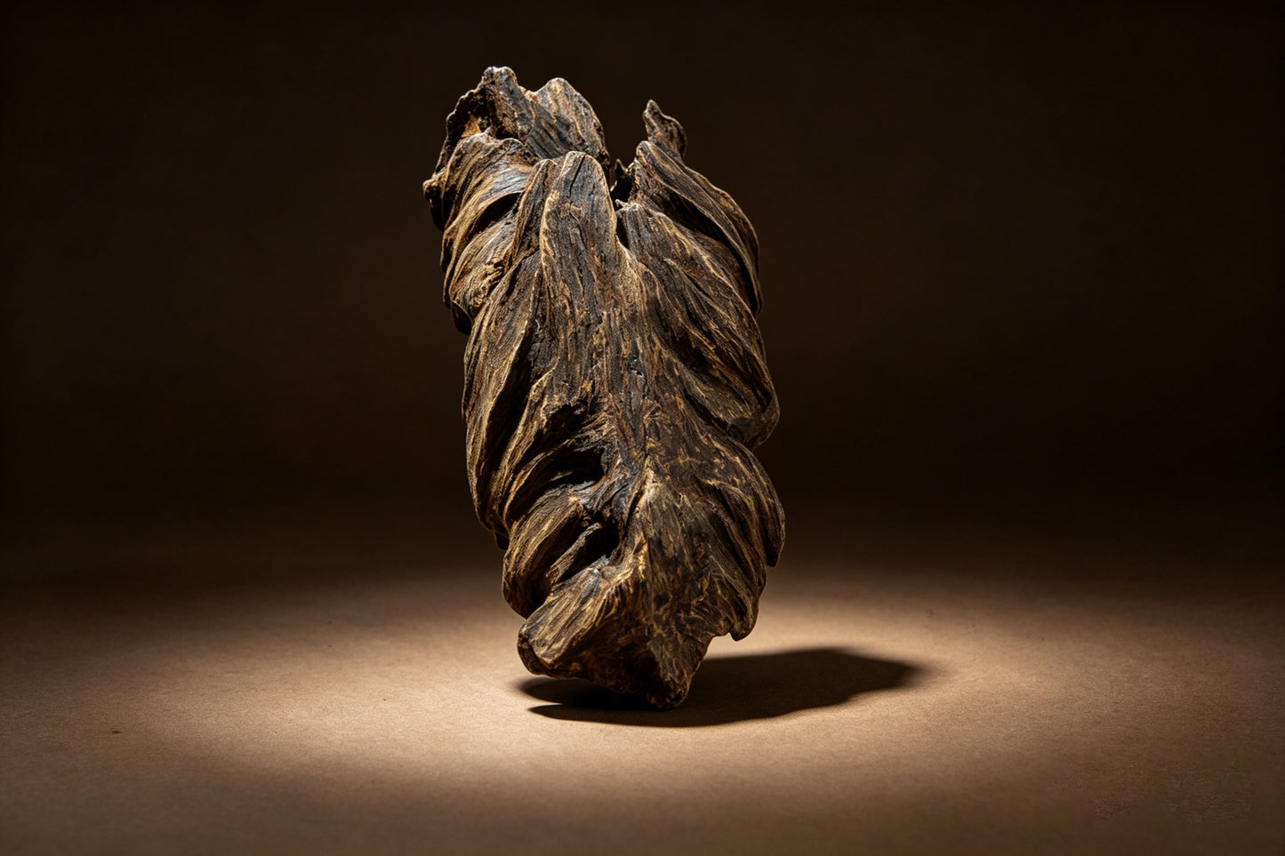 Agarwood Natural Sculpture (Sinking) - Borneo [SS1]