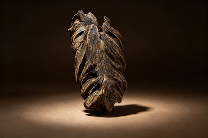 Agarwood Natural Sculpture (Sinking) - Borneo [SS1]