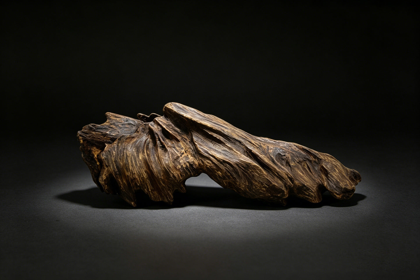Agarwood Natural Sculpture (Sinking) - Borneo [SS1]