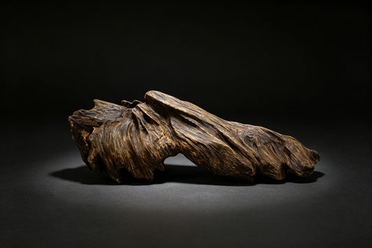 Agarwood Natural Sculpture (Sinking) - Borneo [SS1]
