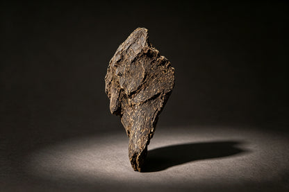 Agarwood Natural Sculpture (Sinking) - Borneo