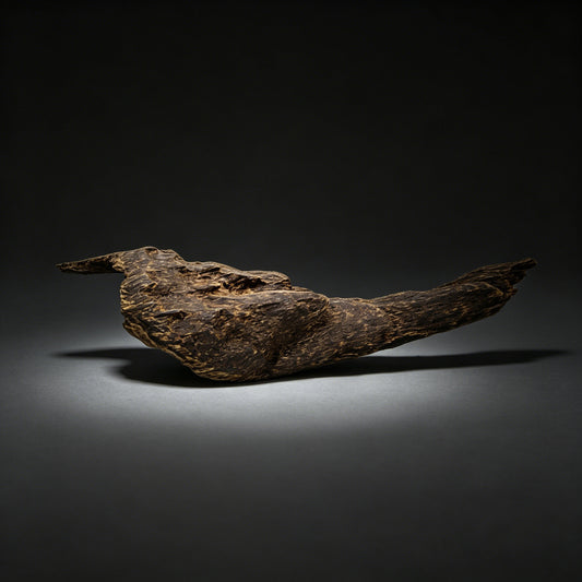Agarwood Natural Sculpture (Sinking) - Borneo