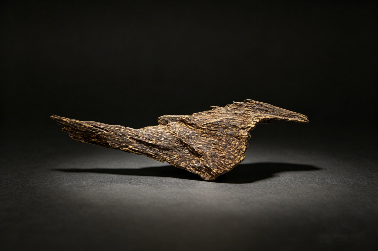 Agarwood Natural Sculpture (Sinking) - Borneo