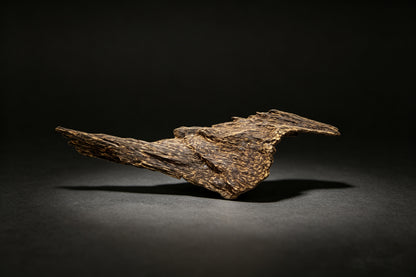 Agarwood Natural Sculpture (Sinking) - Borneo