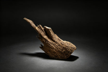 Agarwood Natural Sculpture (Sinking) - Borneo