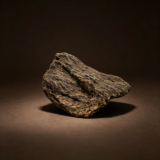 Agarwood Natural Sculpture (Sinking) - Borneo
