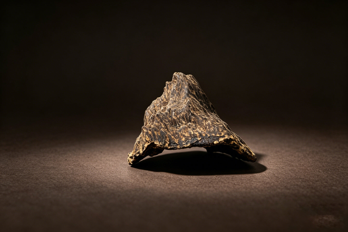 Agarwood Natural Sculpture (Sinking) - Borneo