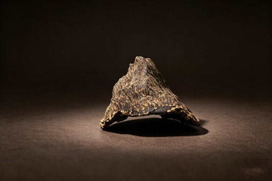 Agarwood Natural Sculpture (Sinking) - Borneo