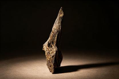 Agarwood Natural Sculpture (Sinking) - Borneo