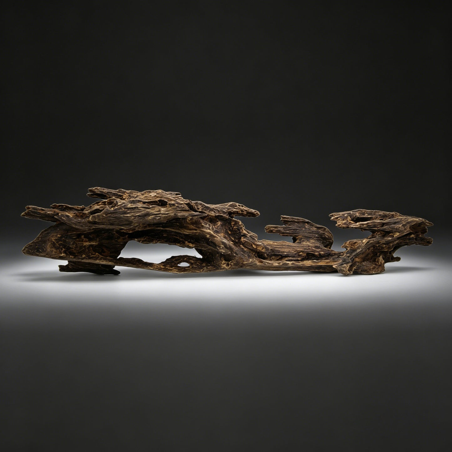 Agarwood Natural Sculpture (Sinking) - Borneo [SS6]