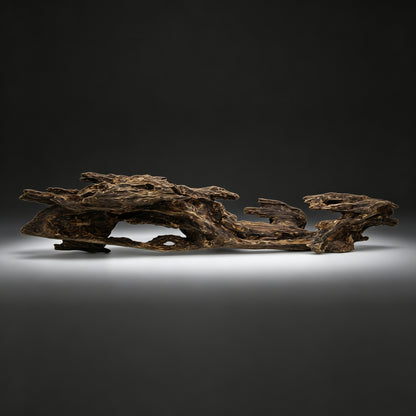 Agarwood Natural Sculpture (Sinking) - Borneo [SS6]