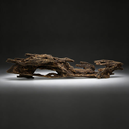 Agarwood Natural Sculpture (Sinking) - Borneo [SS6]