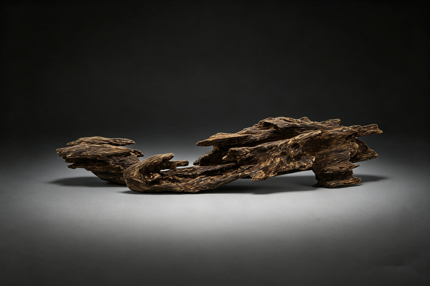 Agarwood Natural Sculpture (Sinking) - Borneo [SS6]