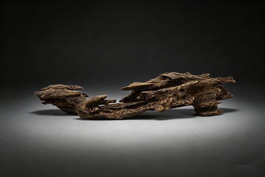 Agarwood Natural Sculpture (Sinking) - Borneo [SS6]