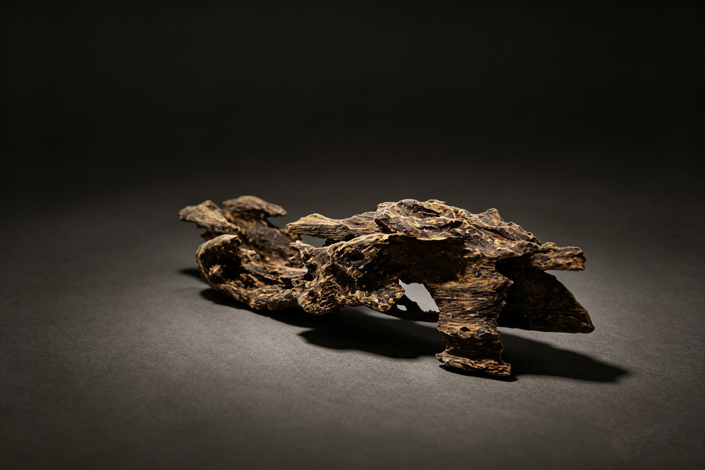 Agarwood Natural Sculpture (Sinking) - Borneo [SS6]