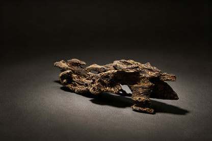 Agarwood Natural Sculpture (Sinking) - Borneo [SS6]
